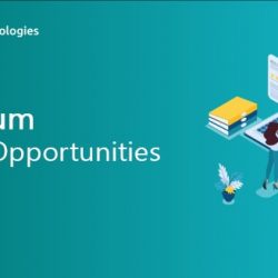 Selenium Career Opportunities